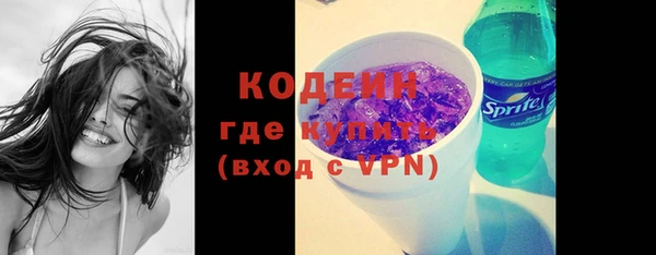гашик Нея