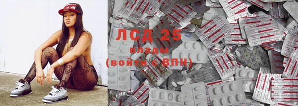 гашик Нея