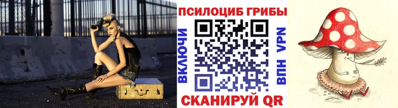 Галлюциногенные грибы Cubensis  Купить где  Егорьевск 